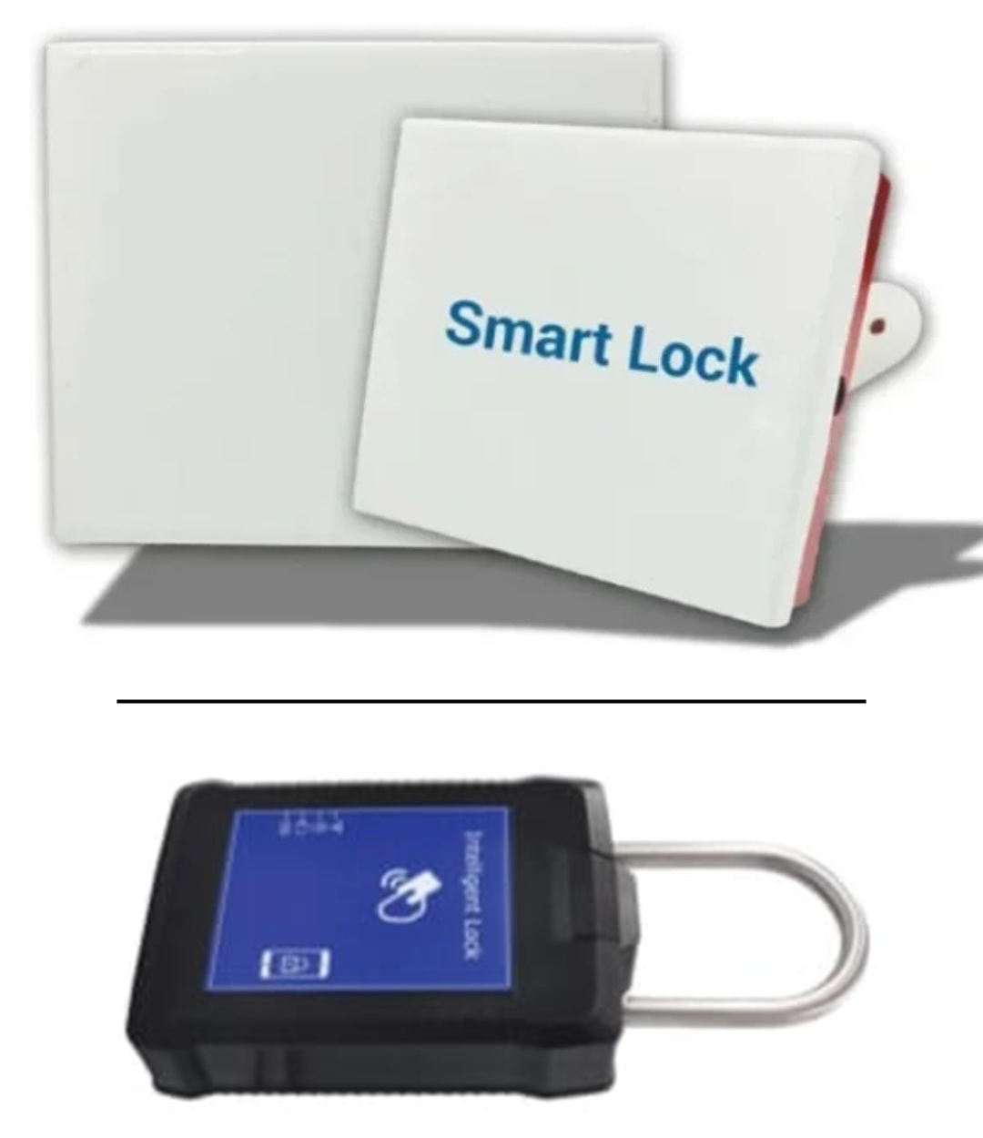 GPS Vehicle E-Lock System